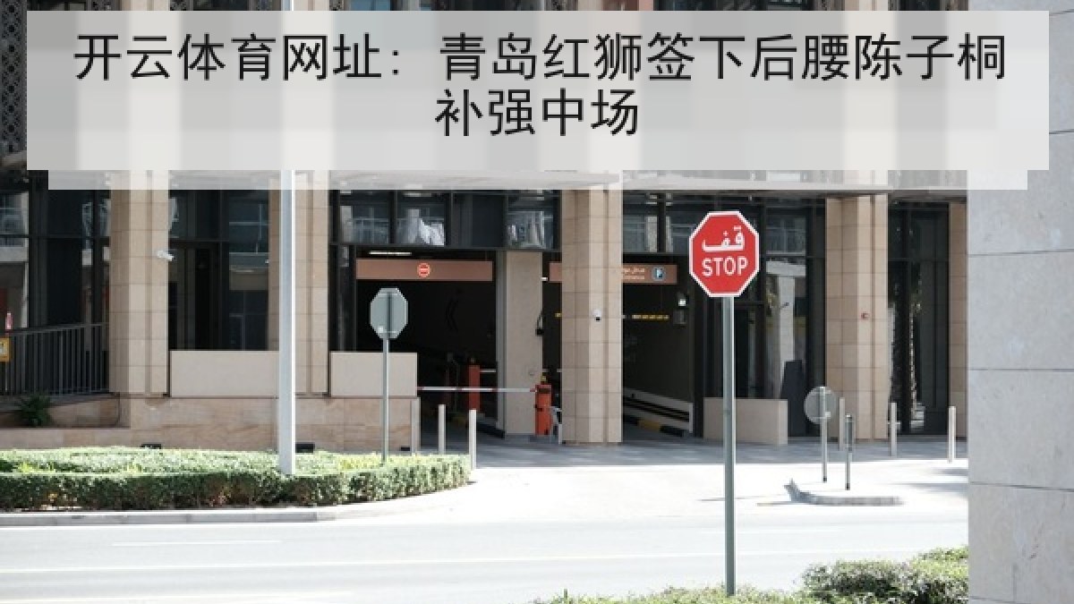 开云体育网址: 青岛红狮签下后腰陈子桐补强中场