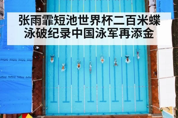 swimming race pool