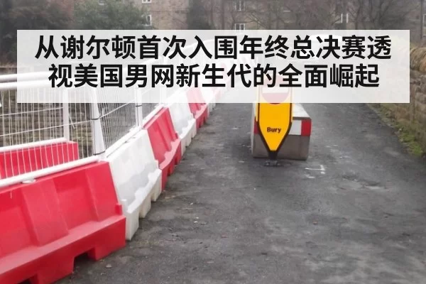 从谢尔顿首次入围年终总决赛透视美国男网新生代的全面崛起